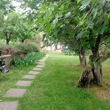 The Jasmine House Apartment Кастел Сан Пиетро Терме Екстериор снимка