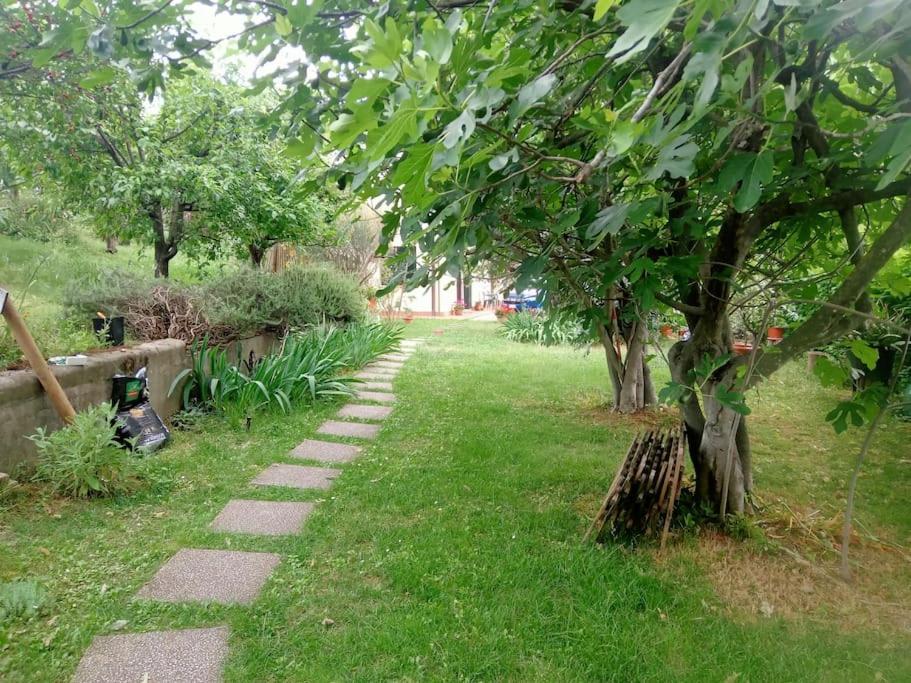 The Jasmine House Apartment Кастел Сан Пиетро Терме Екстериор снимка